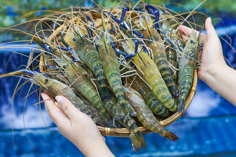 Mẹt tôm càng xanh tươi